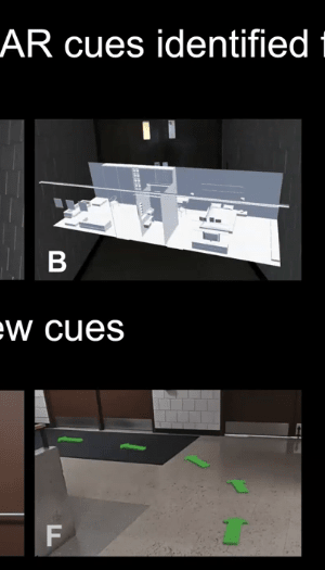 The image is of different types of Augmented Reality Cues.